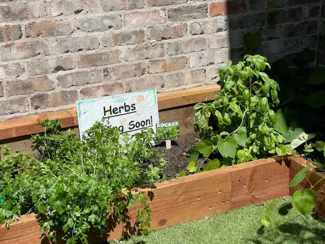Raised vegetable garden beds at Little Blossoms Academy Horsley Park